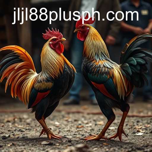 Jljl88 Plus